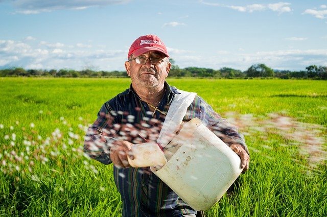 The Parable of The Sower – Part 1 – PASTOR DARRYL BAKER