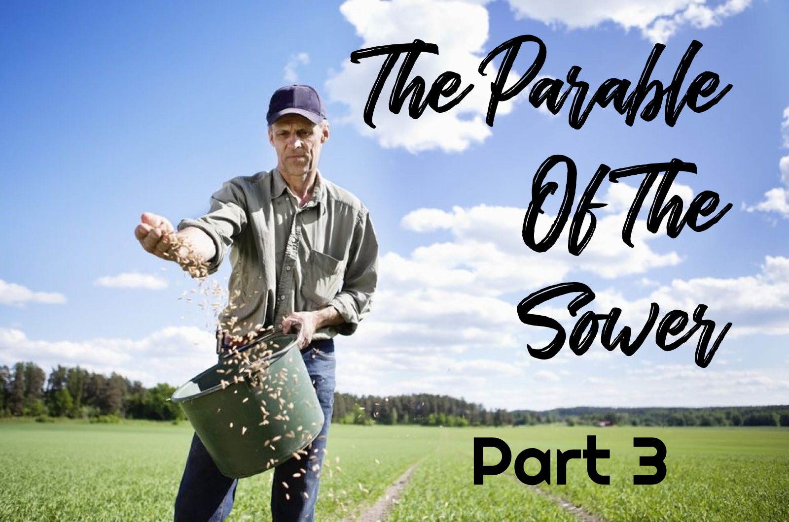 Parable of The Sower – Part 3 – PASTOR DARRYL BAKER