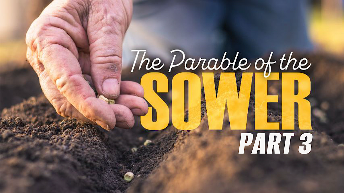 The Parable of The Sower – Part 3 – PASTOR DARRYL BAKER